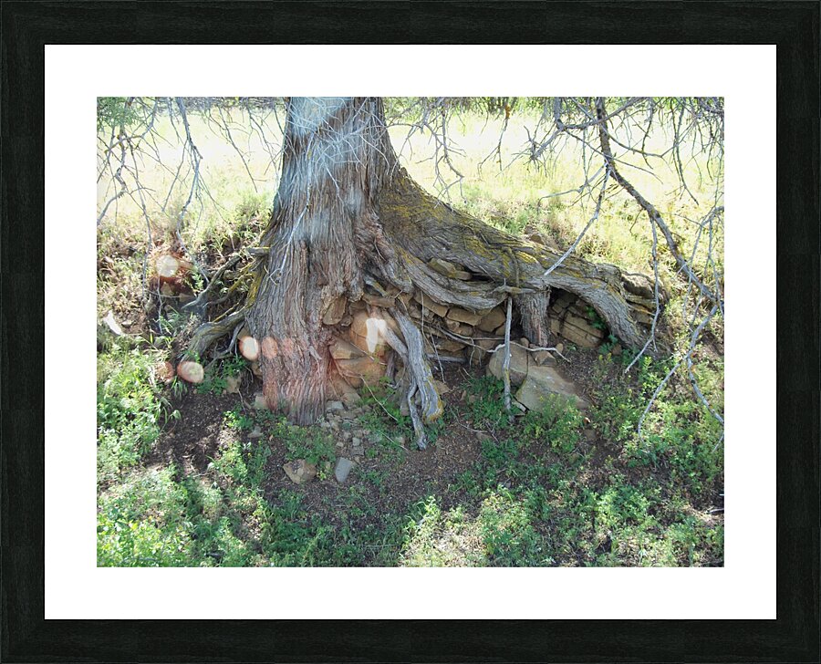 Weird Tree 1 Picture Frame print