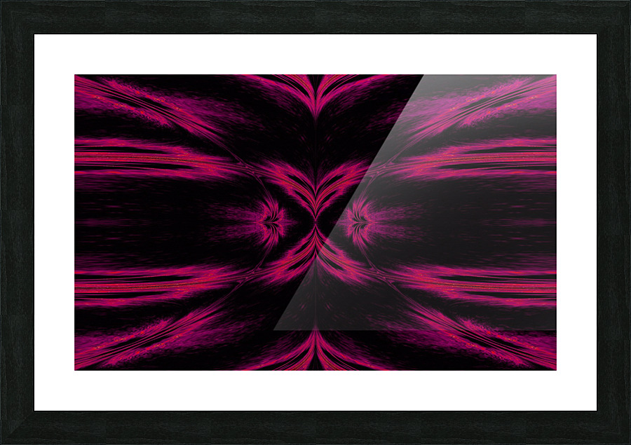 Feathers  Picture Frame print