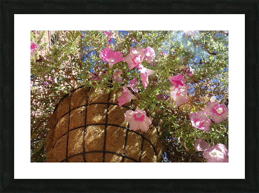 Flower Baskets 2 Picture Frame print