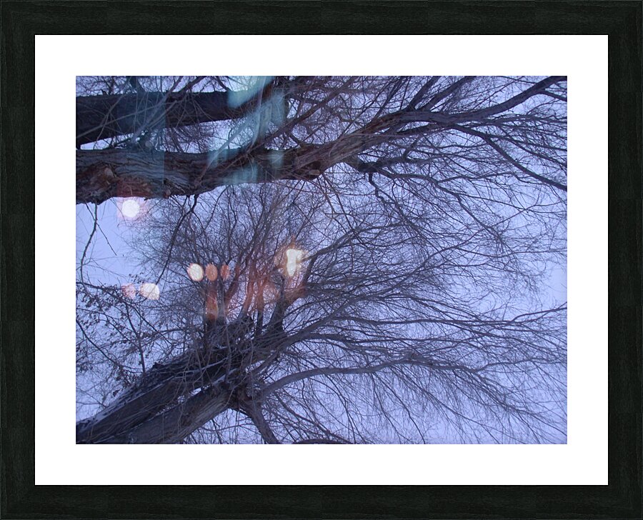 Tulelake Winter Tree 3 Picture Frame print
