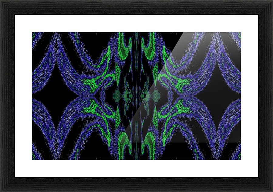 Hidden Butterfly 3 Picture Frame print