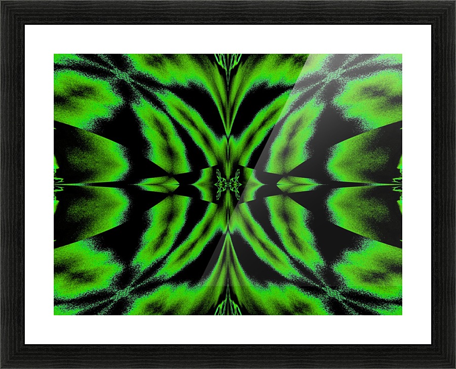 Light Butterfly 4 Picture Frame print