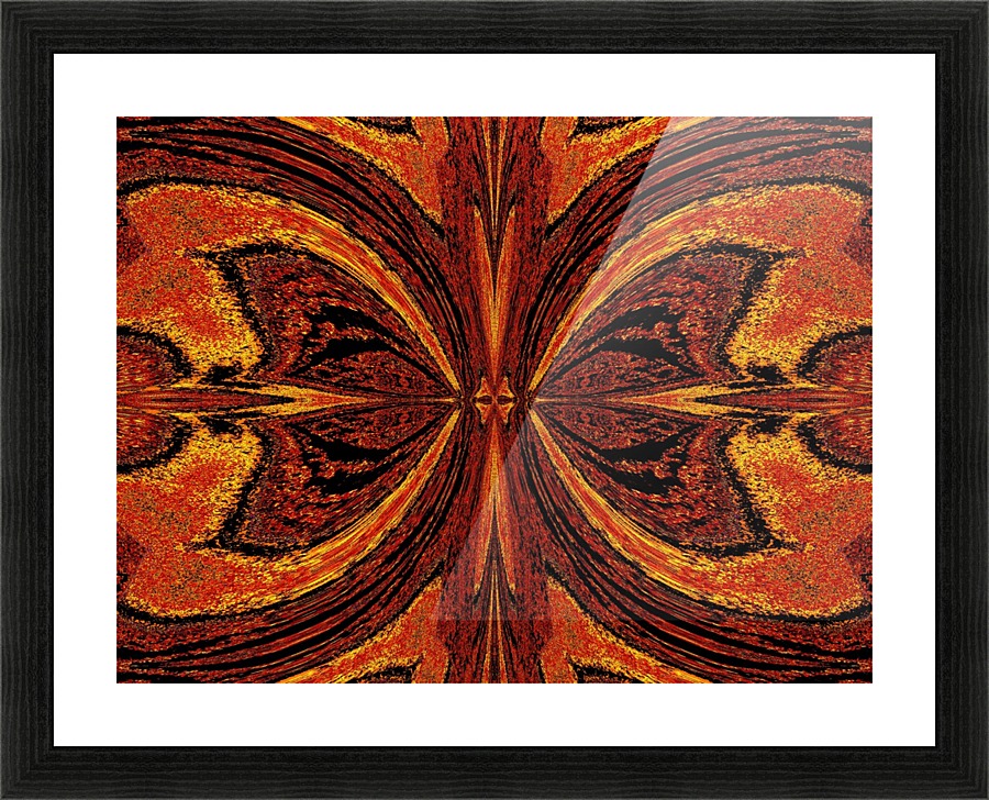 Summer Butterfly 4 Picture Frame print
