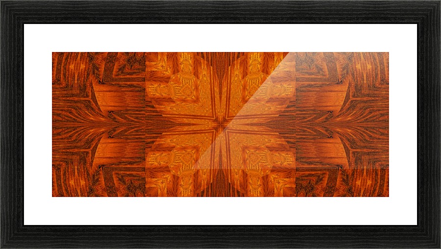 Sunshine Butterfly 1 Picture Frame print