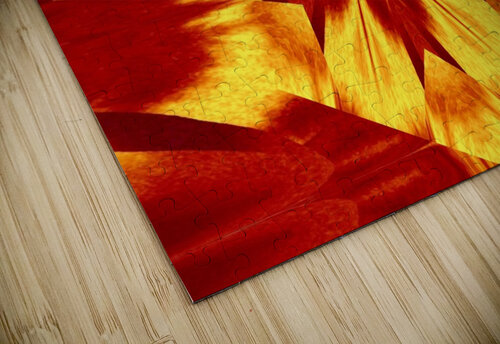 Red Dandelion  Sherrie Larch puzzle