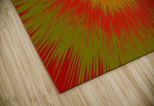 Abstract Sun 25 Sherrie Larch puzzle