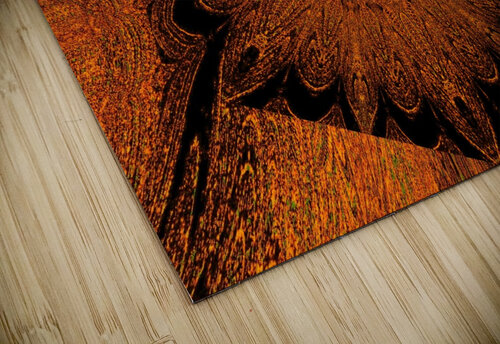 Glass Lotus Sherrie Larch puzzle