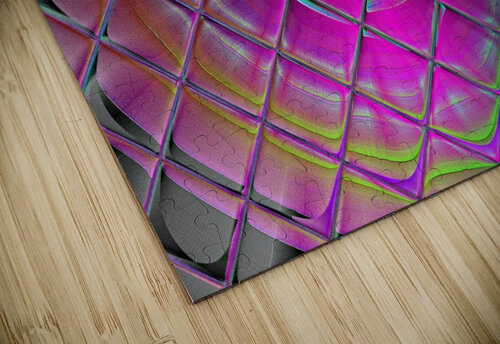 Glass Window Lotus  Sherrie Larch puzzle