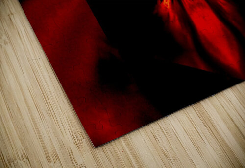 Fire Lotus Red 1 Sherrie Larch puzzle