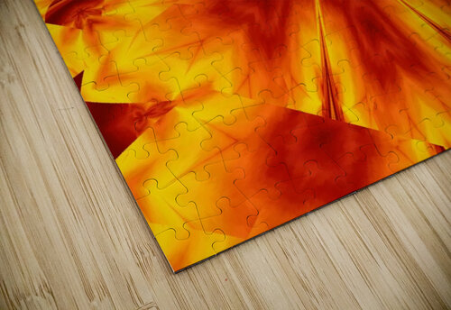 Fire Flowers 29 Sherrie Larch puzzle