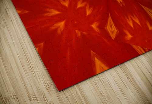Fire Flowers 60 Sherrie Larch puzzle