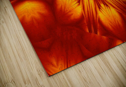 Fire Flowers 74 Sherrie Larch puzzle