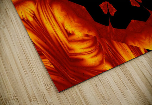 Fire Flowers 82 Sherrie Larch puzzle