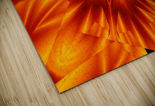 Fire Flowers 97 Sherrie Larch puzzle