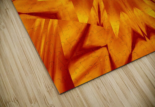 Fire Flowers 116 Sherrie Larch puzzle