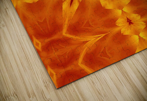 Fire Flowers 117 Sherrie Larch puzzle