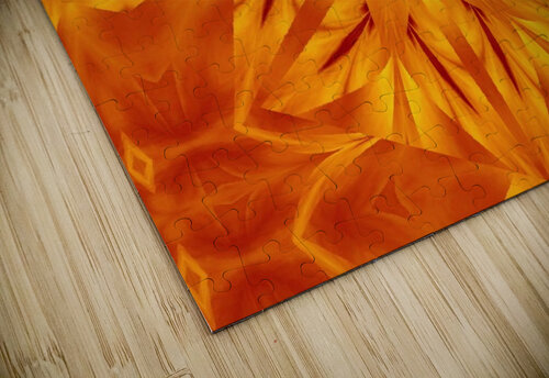 Fire Flowers 118 Sherrie Larch puzzle