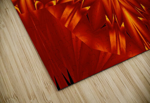 Fire Flowers 299 Sherrie Larch puzzle