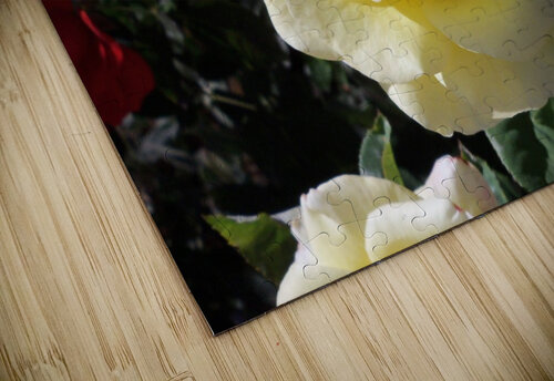A Yellow Rose 3 Sherrie Larch puzzle