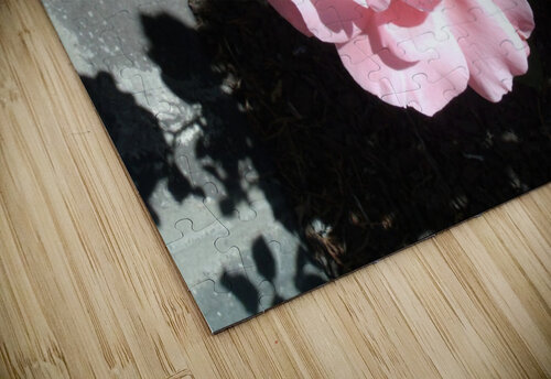 A Delicate Pink Rose  Sherrie Larch puzzle