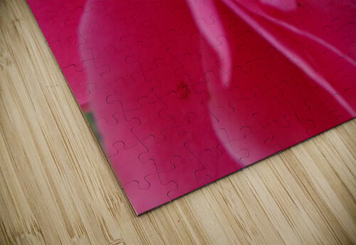Inside A Pink Rose Sherrie Larch puzzle