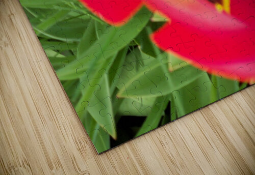 A Poppy 2 Sherrie Larch puzzle