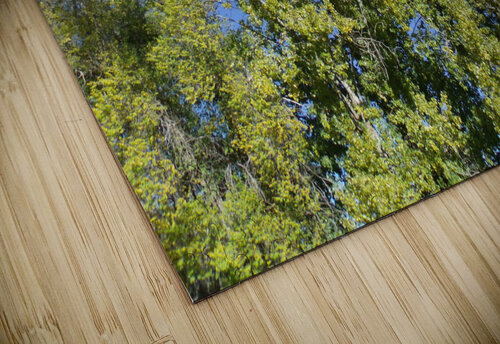 Autumn Leaves Turning  Sherrie Larch puzzle