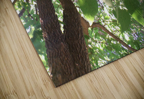 Beautiful Fall Green Trees 3 Sherrie Larch puzzle
