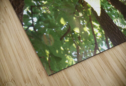 Beautiful Fall Green Trees 6 Sherrie Larch puzzle