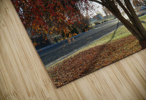 Crabapple Tree 6 Sherrie Larch puzzle
