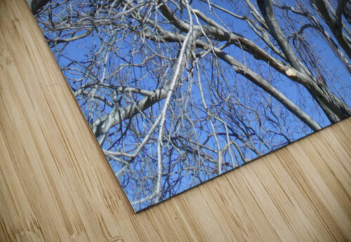 Tulelake Winter Tree 1 Sherrie Larch puzzle