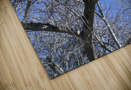 Tulelake Winter Tree 2 Sherrie Larch puzzle