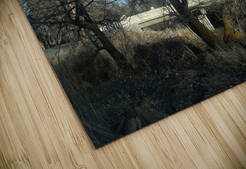 Lost River Winter Trees 4 Sherrie Larch puzzle