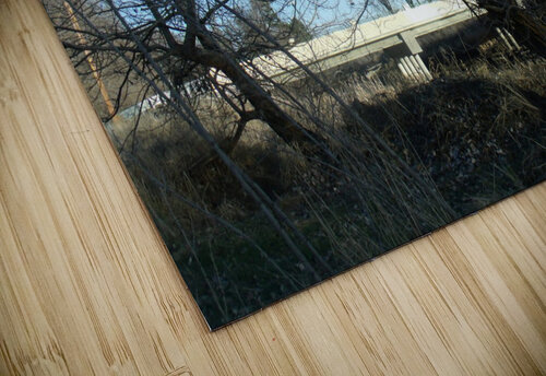 Lost River Winter Trees 5 Sherrie Larch puzzle