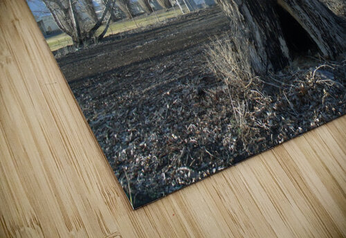 Lost River Winter Trees 8 Sherrie Larch puzzle