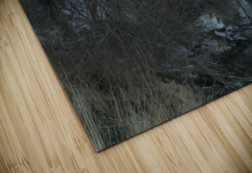Spring Snow Trees 2  Sherrie Larch puzzle