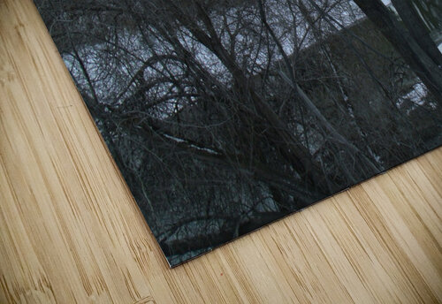 Spring Snow Trees 3  Sherrie Larch puzzle