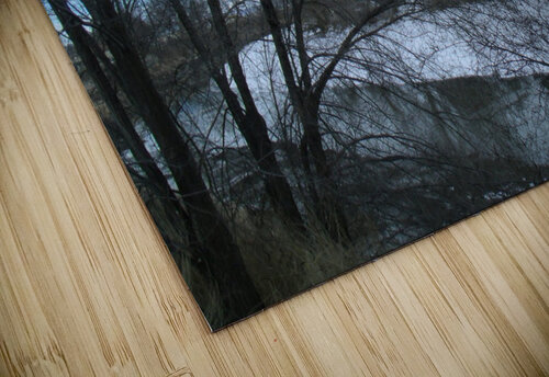 Spring Snow Trees 5  Sherrie Larch puzzle