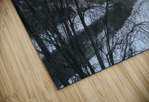 Spring Snow Trees 6  Sherrie Larch puzzle