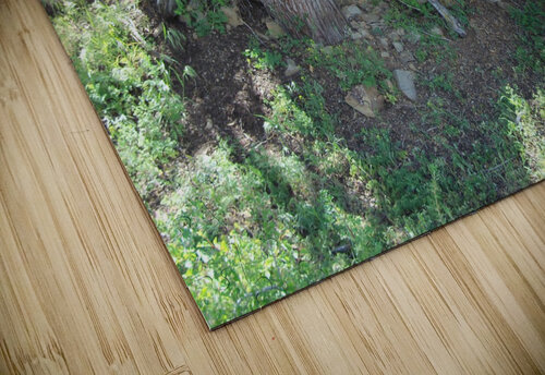 Weird Tree 1 Sherrie Larch puzzle