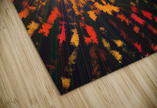 Sun Spots 2 Sherrie Larch puzzle