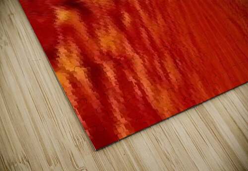 Red Waves  Sherrie Larch puzzle
