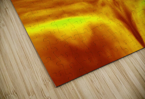 Sunburst Sherrie Larch puzzle