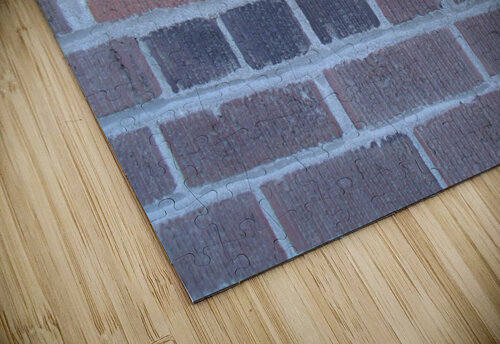 Brick Wall 1 Sherrie Larch puzzle