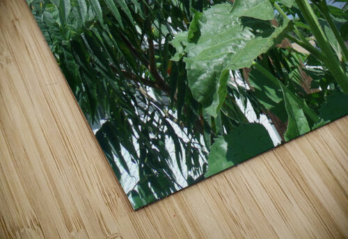 Sunflower 3 Sherrie Larch puzzle