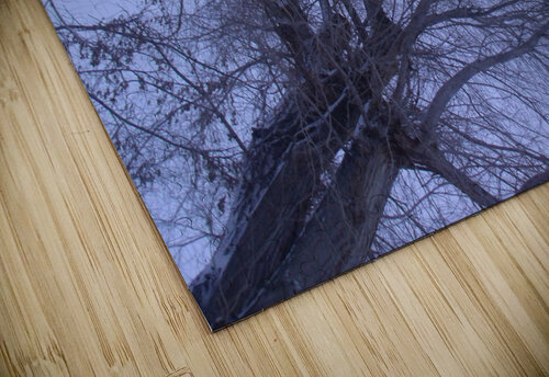 Tulelake Winter Tree 3 Sherrie Larch puzzle