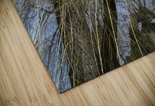  Winter Willow 1 Sherrie Larch puzzle