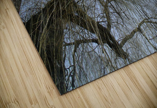  Winter Willow 2 Sherrie Larch puzzle