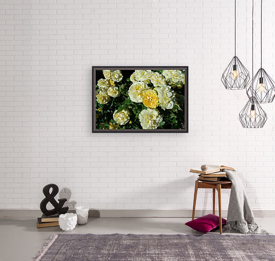 Yellow Roses  Reproduction