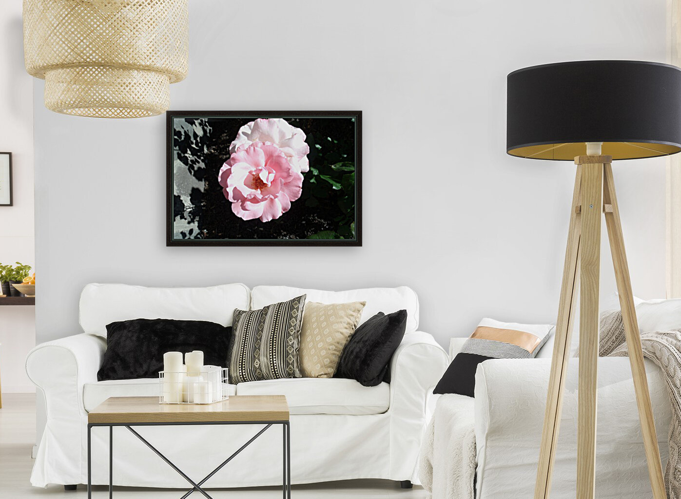 A Delicate Pink Rose  Reproduction